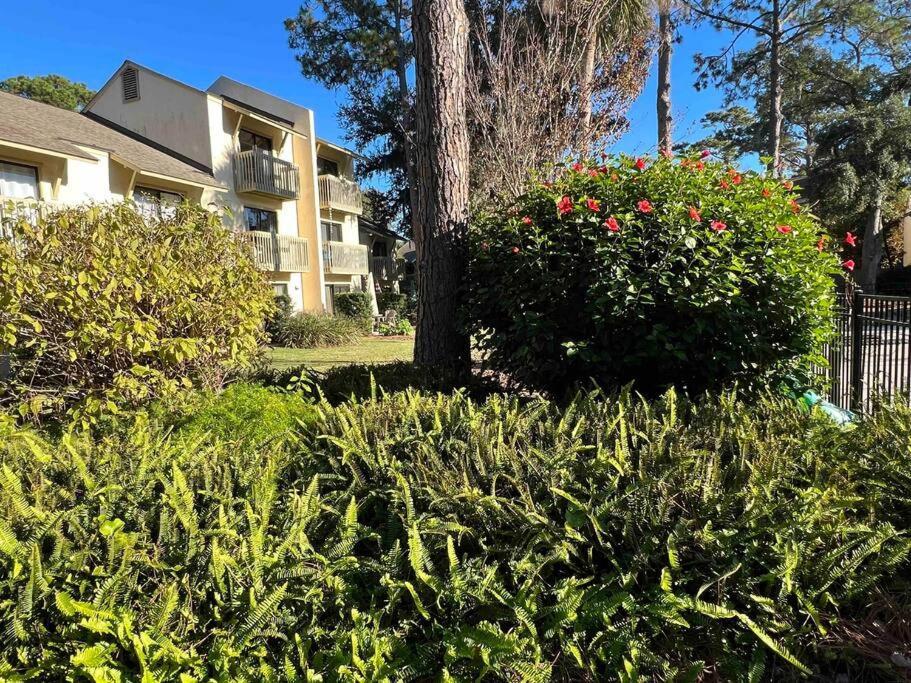 Spacious, Cozy Villa W/Parking In Coligny Villas Hilton Head Island Dış mekan fotoğraf
