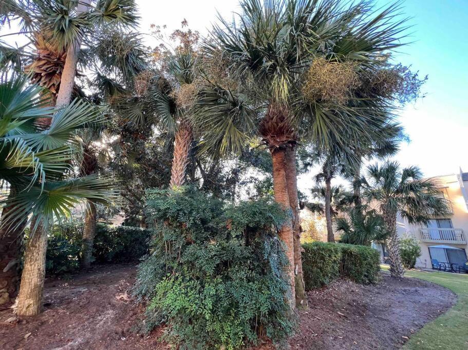 Spacious, Cozy Villa W/Parking In Coligny Villas Hilton Head Island Dış mekan fotoğraf